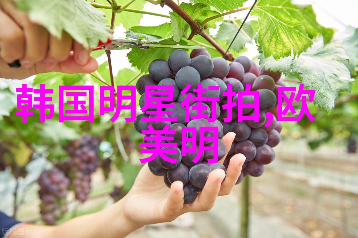 春日新妆轻盈时尚女装搭配指南