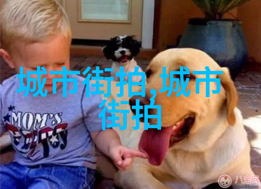 简约马尾