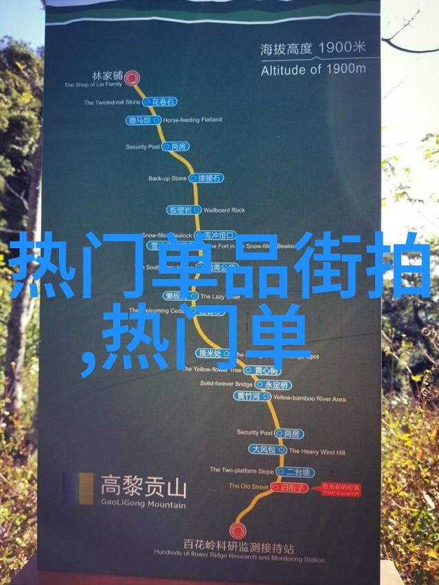 姜可林慕的故事世界免费阅读全文探秘