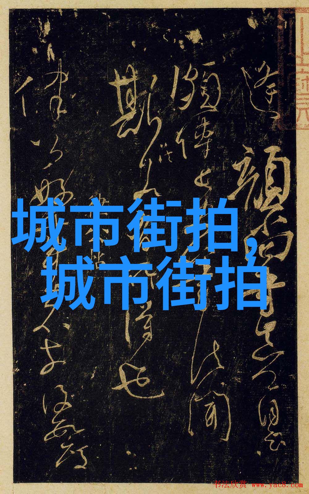 经典流畅直毛加上侧向落肩设计