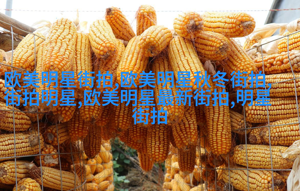 春秋季节小开衫