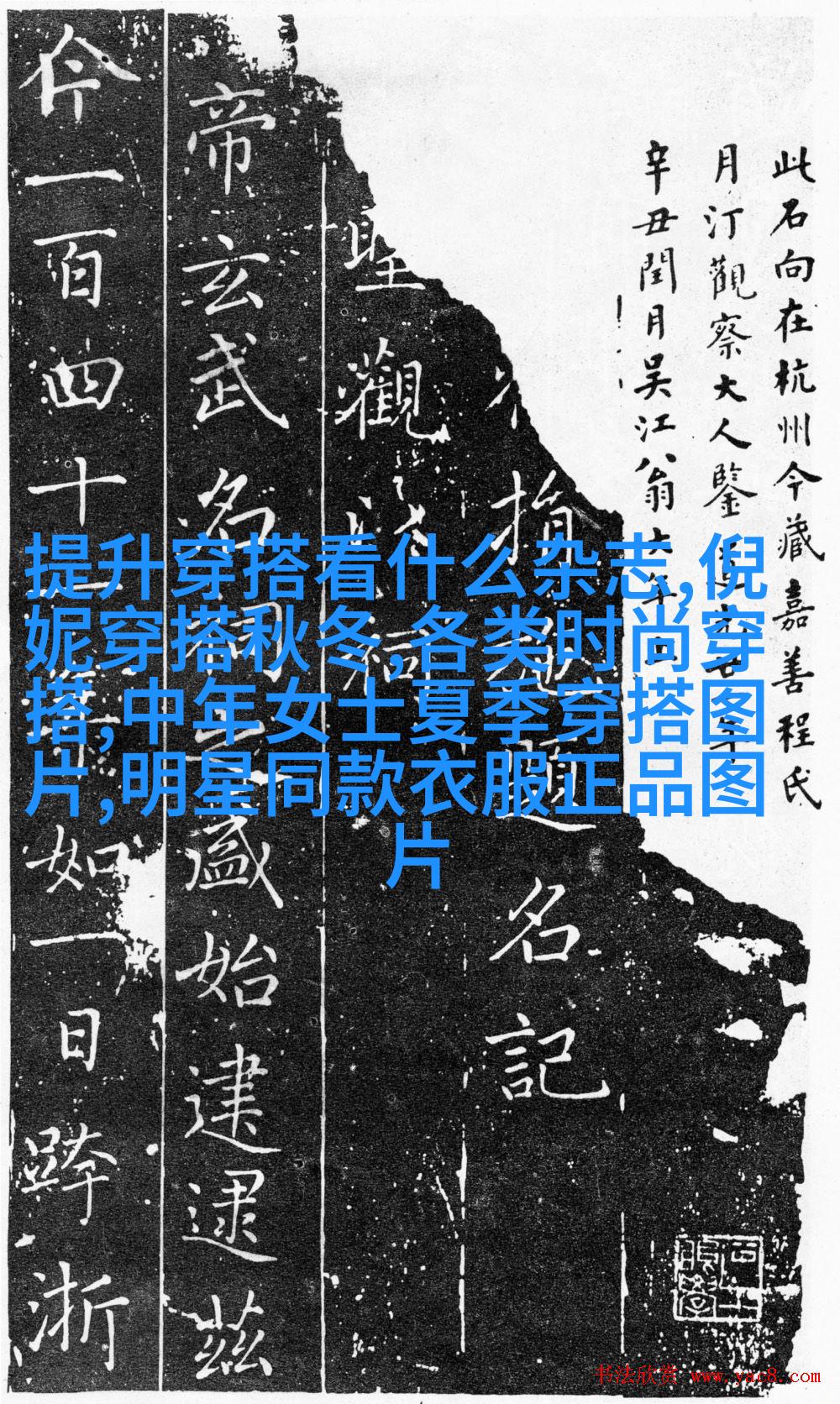 中间束结