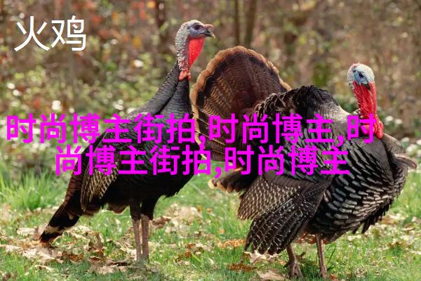 随意鸡皮头