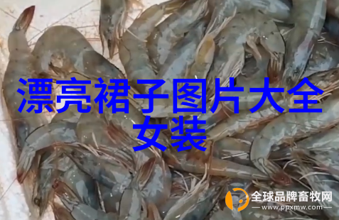 在工作和休闲场合如何灵活应用明星潮流造型技巧