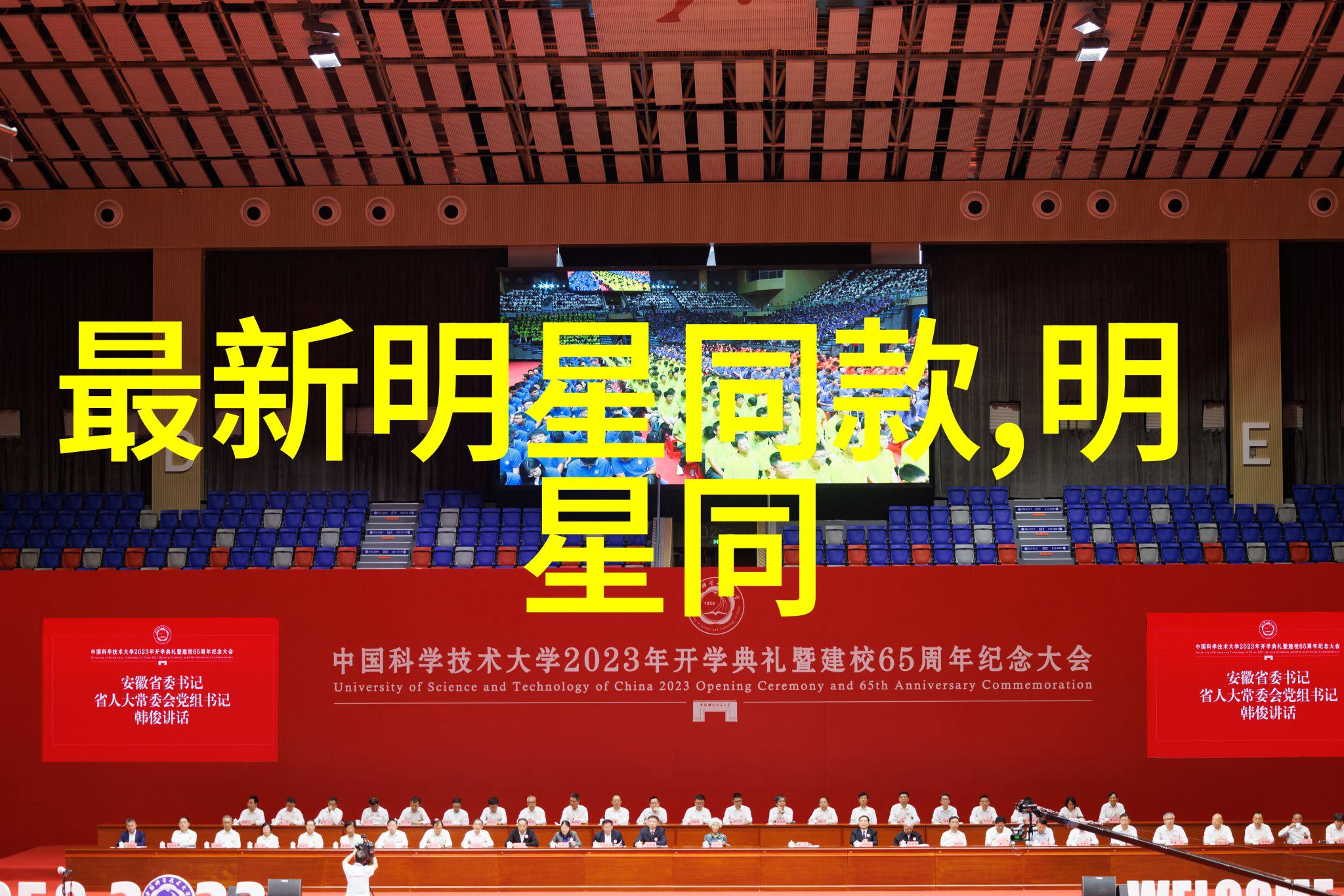闪耀星光下的暗夜风暴