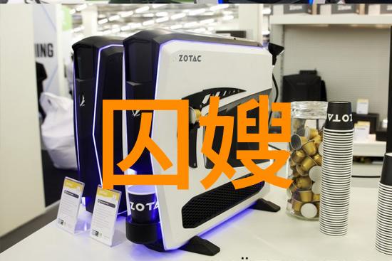 囚嫂记：一个悲情的故事