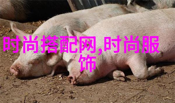 新浪网上热传的昏婚真实记录爱情与命运的错综复杂